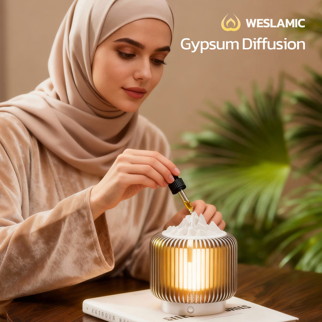 ويصل إسلامي نورديو S1