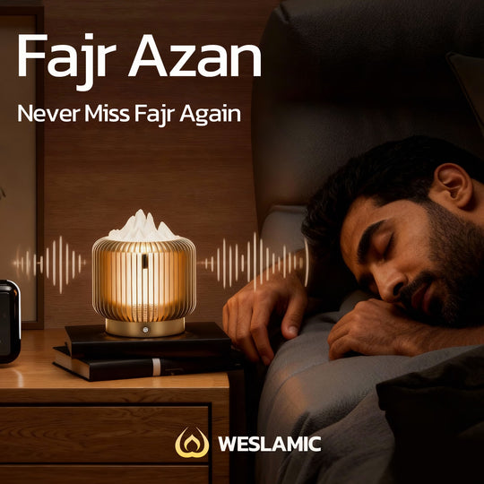 Weslamische Nurdio S1